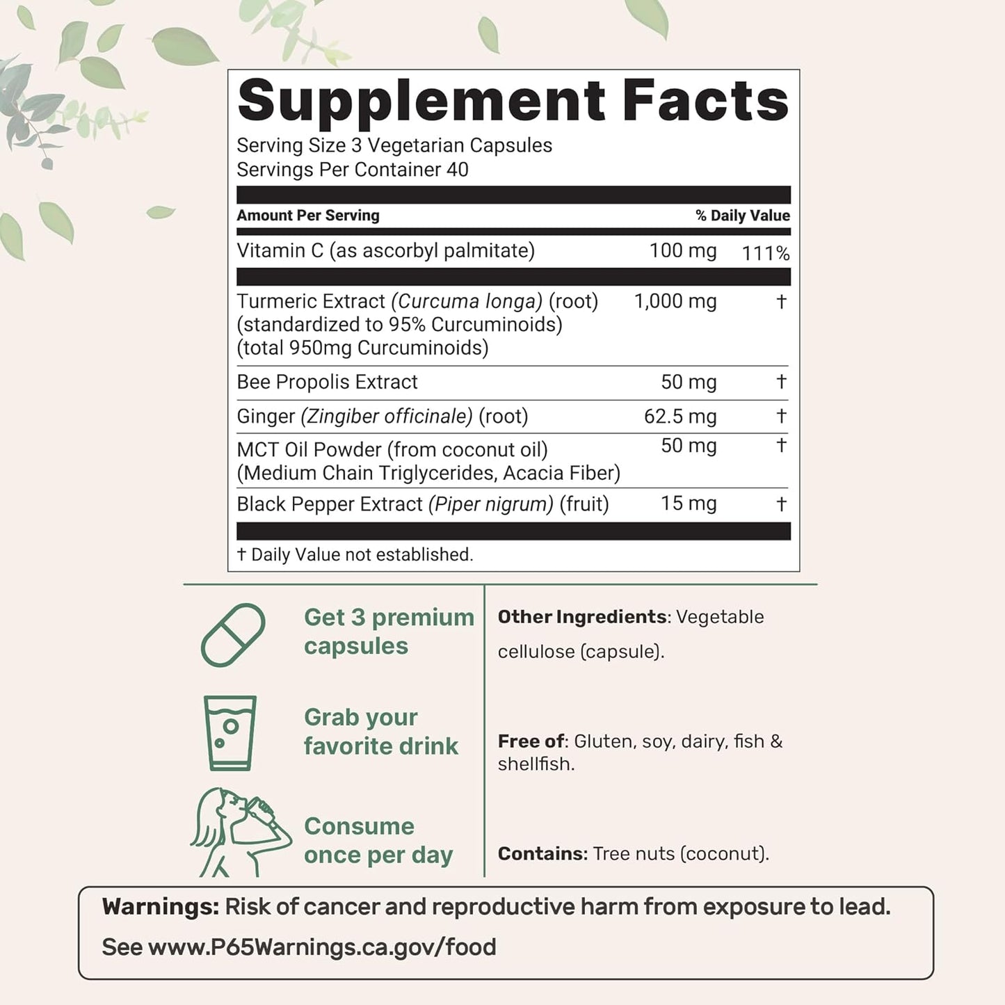 Turmeric Curcumin | 95% Curcuminoids VIP